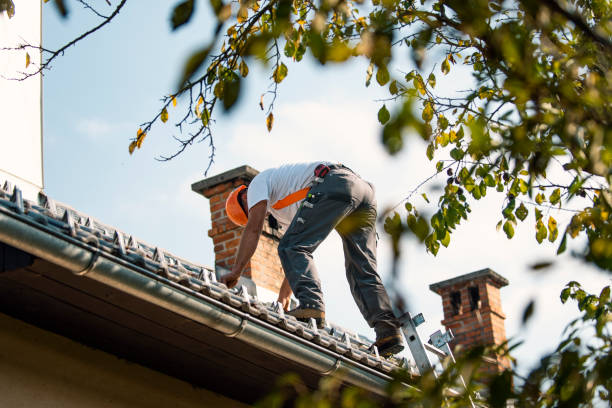 Best Local Roofing Companies  in Crump, TN